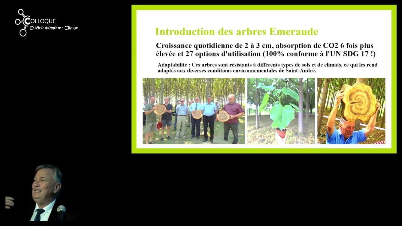 Jozsef STEIER (2024) Le paulownia Emerald