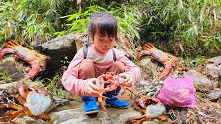 The poor girl walked along the stream bank deep into the forest to catch stone crabs and sell