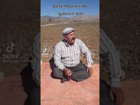 Bastım da kırıldı iğdenin dalı.