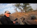 2025 7 GoPro Ngala 7 22 Wild Dogs 2025 7 GoPro Ngala 7 22 Wild Dogs