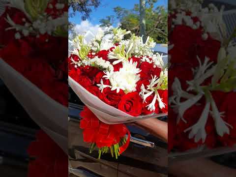 Video: Flowers Moja-kubwa-maua