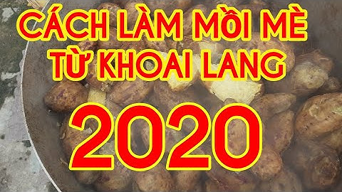 Mồi câu cá mè. hướng dẫn mọi người cách làm mồi câu cá mè trắng mè hoa mới nhất 2020