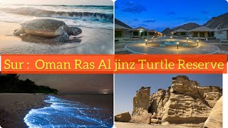 Sur oman | Ras al jinz turtle reserve island | #oman??