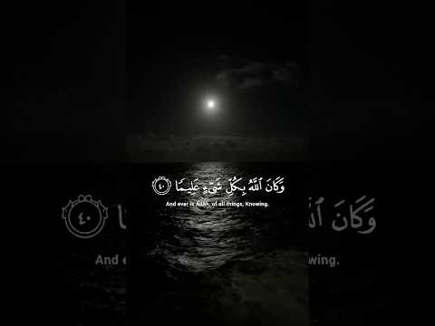 وكان الله بكل شيء عليما تلاوة هادئة للعقل ياسر الدوسري