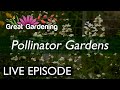 Live episode pollinator gardens