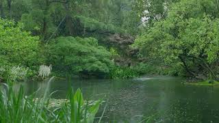 The beautiful little lake is raining(152) , sleep, relax, meditate, study, work, ASMR