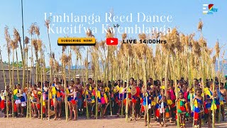 Umhlanga Reed Dance 2023 || Kucitfwa Kwemhlanga