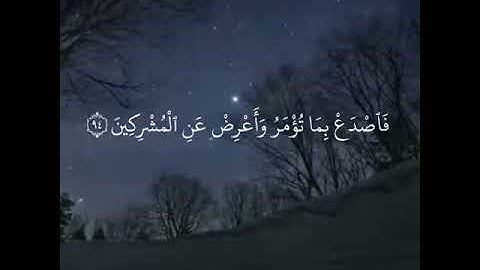 القارئ هزاع البلوشي - سورة الحجر - من الاية 91 الى الاية 99 //تنوع عشوائي لله