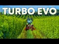 Lavorazione SOTTOCHIOMA del VIGNETO