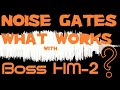 Noise Gates what works with Boss HM-2 ???