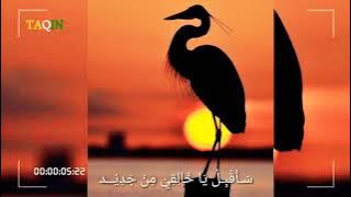 STORY WA 30 DETIK. SHOLAWAT|||SAUQBILU YA KHALIQI