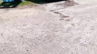 Ashtabula County Fair 🐖 clip(1)