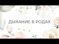 Дыхание в родах. Как правильно подготовить своё дыхание? Подготовка к родам.