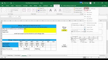 20. Radio Buttons As An Alternative to Check Boxes | MS - Excel Tutorial
