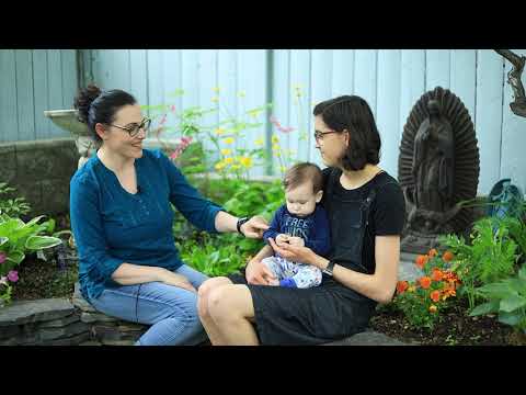 ვიდეო: რა არის ღვთისმშობლის ბაღი: როგორ შევქმნათ მარიამის ბაღი პეიზაჟში
