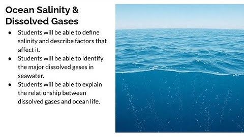 Ocean Salinity and Dissolved Gasses