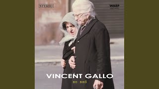 Video thumbnail of "Vincent Gallo - So Sad"