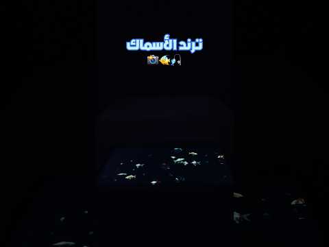 ترند الكركم بطريقة الأسماك ماضبط معي ترندات   اكسبلور