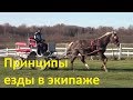 Европейская упряжь. Фильм третий. Принципы езды в экипаже . + клип.