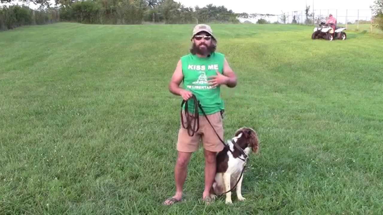 stoney dog trainer