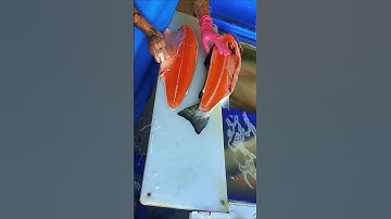Fastest salmon cutter 😱 #shorts #fish #salmon #sashimi