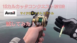15カルカッタコンクエスト201HGでアベイルスプールは？必要？ - YouTube