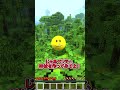 🌸ベリティが考える『博麗神社』