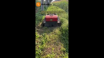 Tough Enough for Any Challenge: Watch Our Robot Handle Young Saplings!