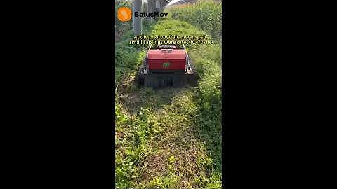 Tough Enough for Any Challenge: Watch Our Robot Handle Young Saplings!