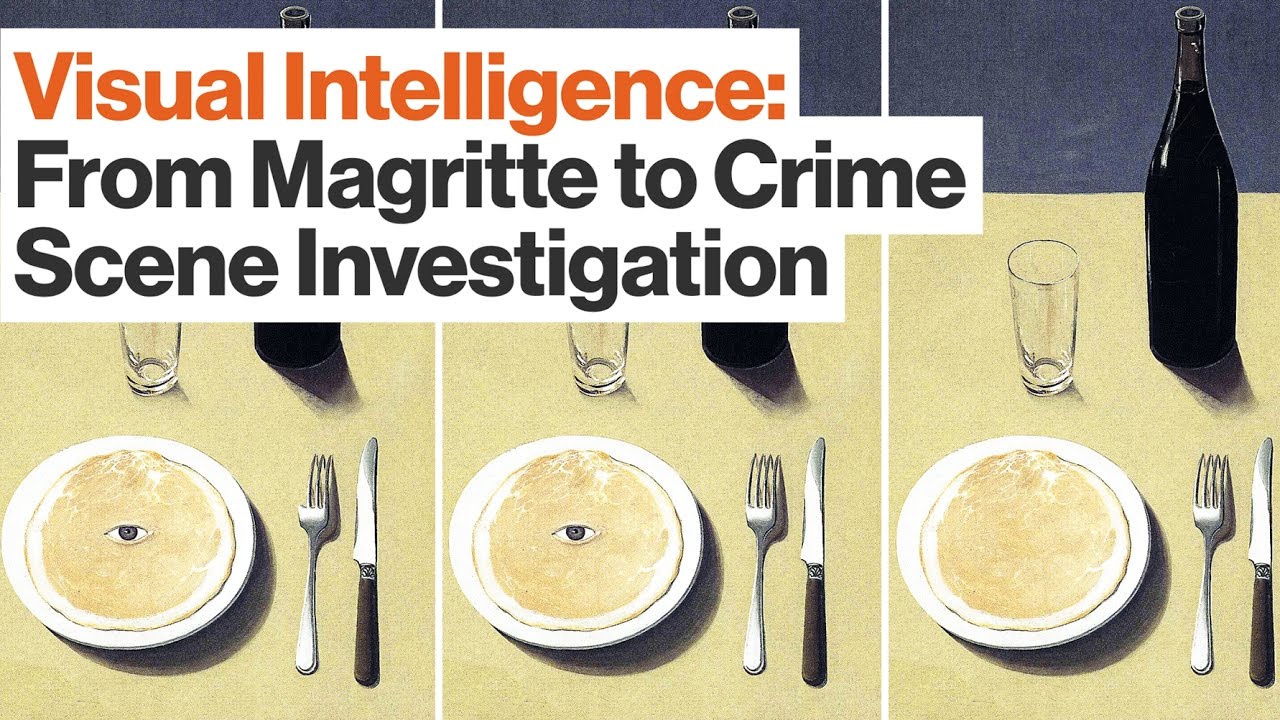 visual intelligence