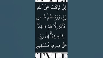 #سورة_هود@أجملتلاواتالقرآنالكريم-ض8ظ #ما#تيسر#من#القران#ايات_قرانيه_قصيره الكريم