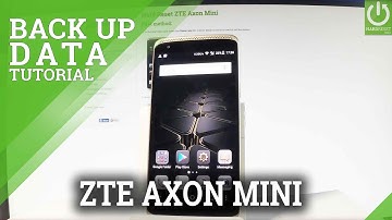 How to Use Google Backup in ZTE Axon Mini - Allow Google Backup