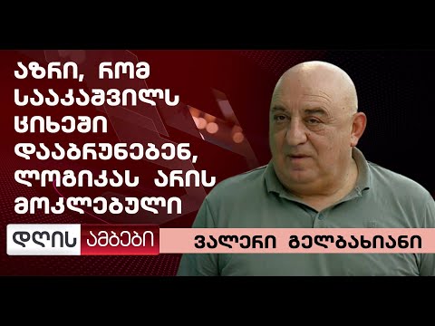 გელბახიანი: აზრი, რომ საავადმყოფოდან ციხეში დააბრუნებენ ლოგიკას არის მოკლებული
