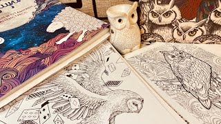 Совиная охота. Раскрашиваю совушек. 🦉🦉🦉