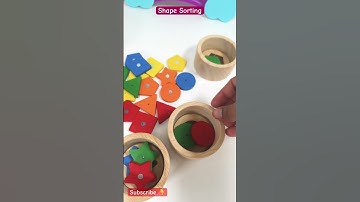 Shape Sorting | Square | Triangle | Circle | Star | Pentagon | Educational Videos for Toddlers