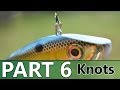 Beginner's Guide to BASS FISHING - Part 6 - Knots and Rigging