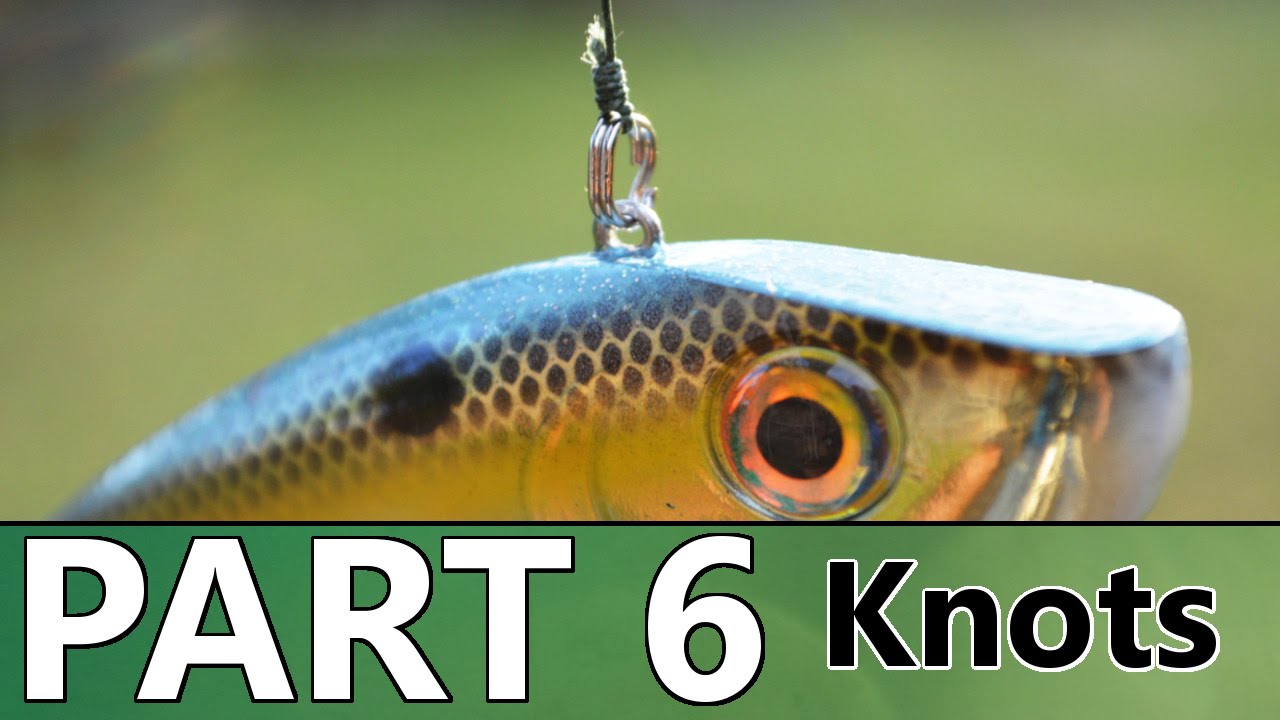 Beginner's Guide to BASS FISHING - Part 6 - Knots and Rigging