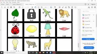 Articulation LessonPix Tutorial