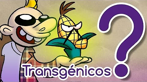 ¿Cuál es el mayor riesgo de los OMG?