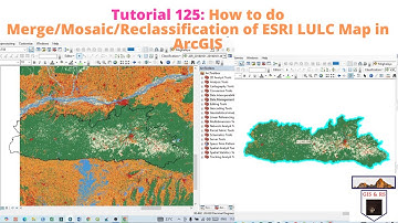 Merge/Mosaic/Reclassification of ESRI LULC Map in ArcGIS