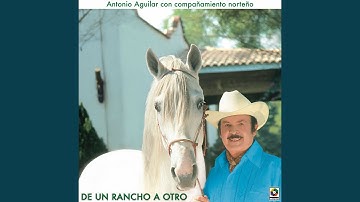 Thumbnail of Margarita, Margarita