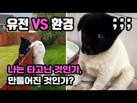 유전인가 환경인가?🧬 쌍둥이로 알아보는 유전과 DNA의 신비