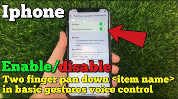 How to enable or disable two finger pan down item name in basic gestures voice control on iPhone X
