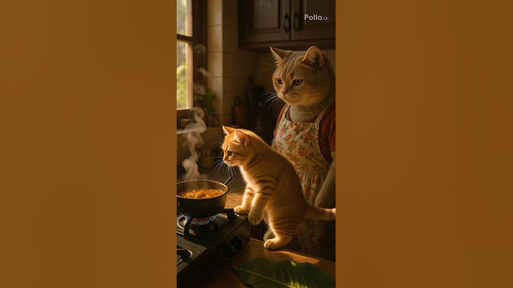Kitten Tries to Steal Mom’s Curry 😹