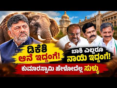 ಡಿಕೆ ಶಿವಕುಮಾರ್ ಆನೆ ಹೋದಂಗೆ ಹೋಯ್ತಾವ್ರೆ, ಬಾಕಿಯವ್ರೆಲ್ಲ ನಾಯಿ ಬೊಗುಳದಂಗೆ ಬೊಗಳತಾವ್ರೆ! ಬಾಲಕೃಷ್ಣ