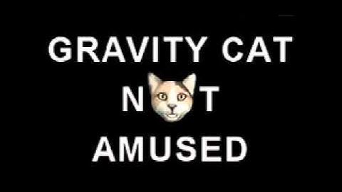 Gravity Cat Not Amused Song