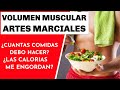 PARA VOLUMEN MUSCULAR MAGRO🥗 ¿CUANTAS COMIDAS DEBO HACER?