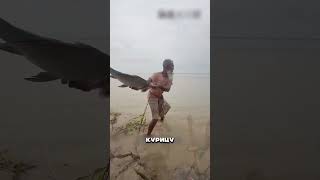 КАК ЛОВИТЬ СОМА