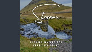 Harmony in Streamside Study Sessions