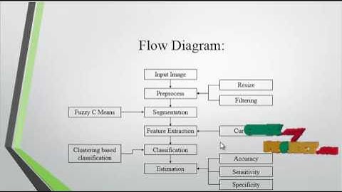 Performance Comparison of Wavelet & Contourlet Frame Based Features